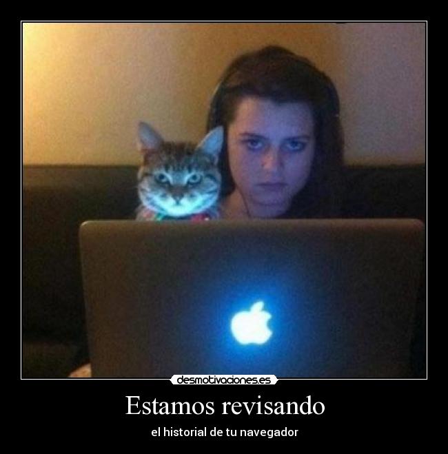 carteles portatil gato desmotivaciones