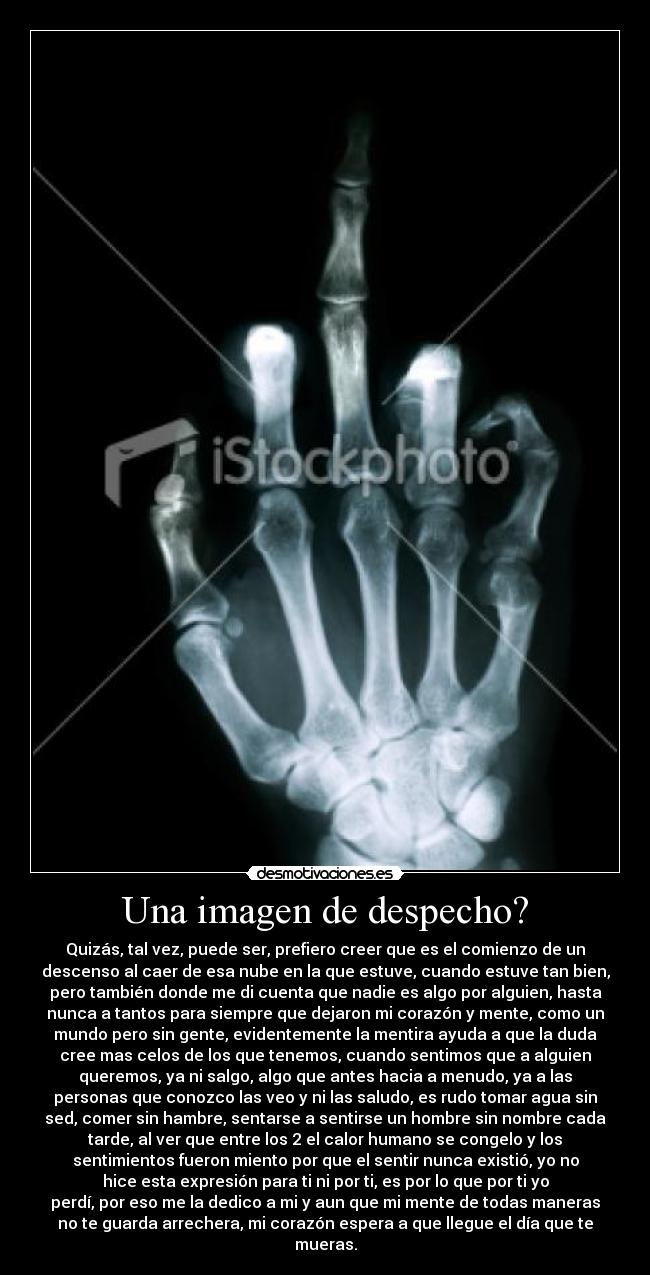 carteles despecho duda celos querer sentimientos mentira arrechera muerte desmotivaciones