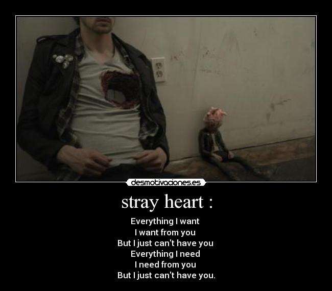 stray heart : - Everything I want
I want from you
But I just cant have you
Everything I need
I need from you
But I just cant have you.