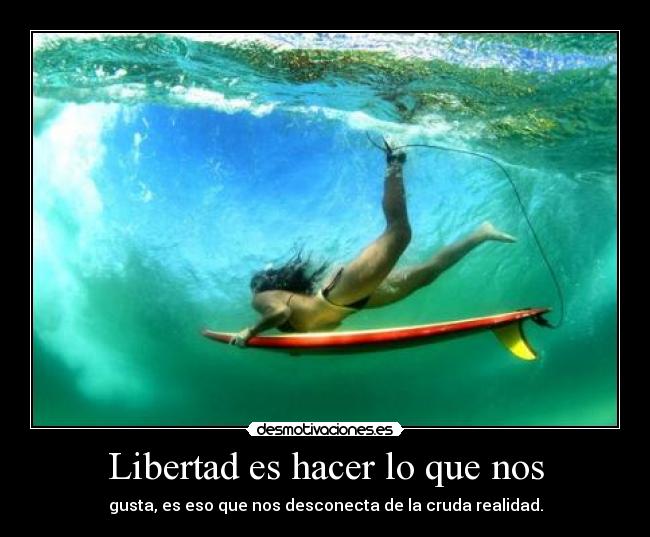 Libertad es hacer lo que nos - 