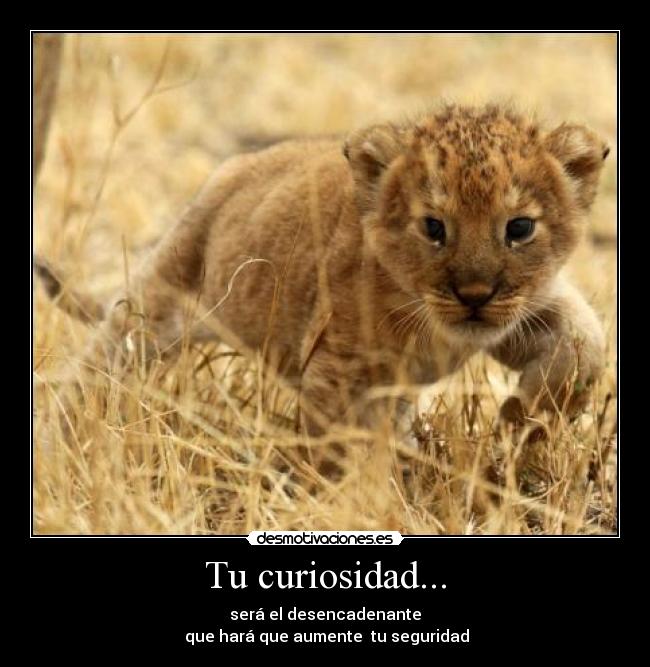 carteles akleduok immer dankbar desmotivaciones