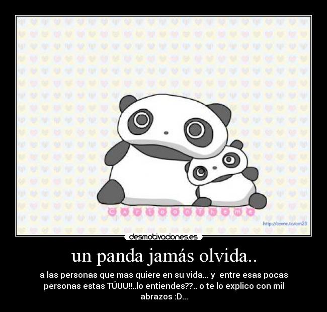 un panda jamás olvida.. - 