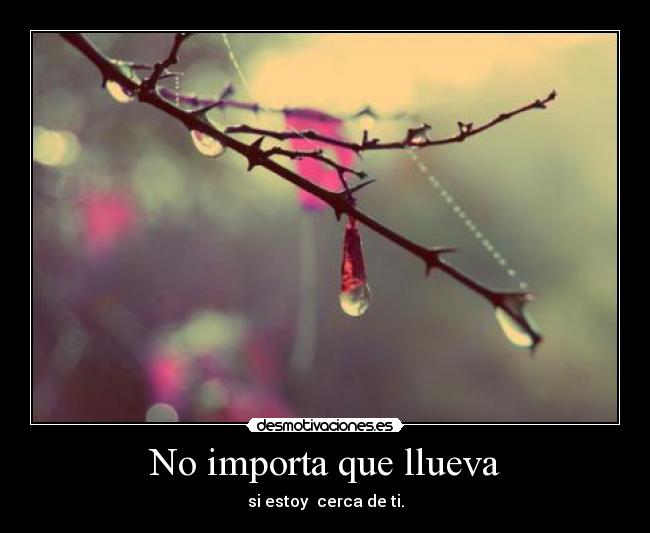 carteles importa que llueva desmotivaciones