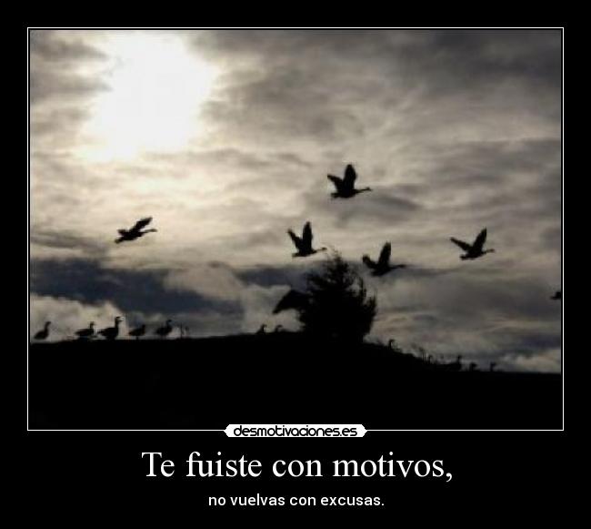 Te fuiste con motivos, - no vuelvas con excusas.