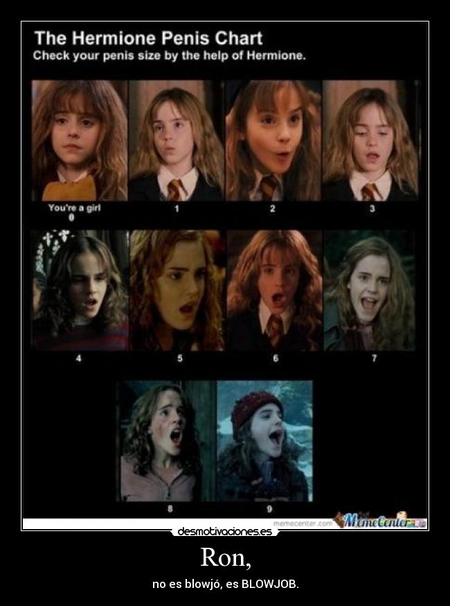 carteles harry potter desmotivaciones