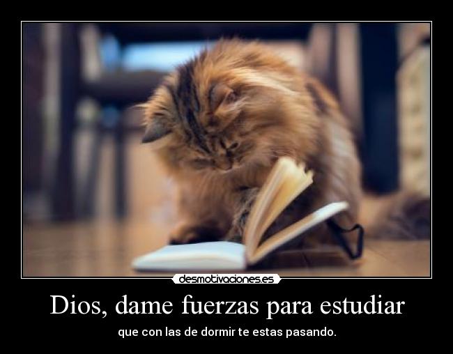 Dios, dame fuerzas para estudiar - que con las de dormir te estas pasando.