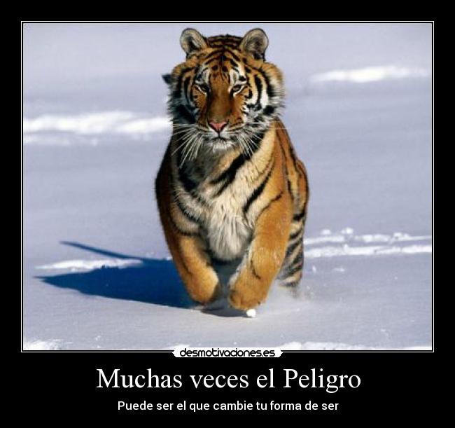 Muchas veces el Peligro - Puede ser el que cambie tu forma de ser