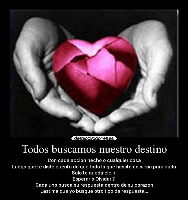 Todos buscamos nuestro destino - 