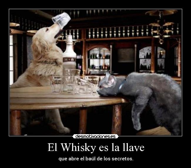 El Whisky es la llave -