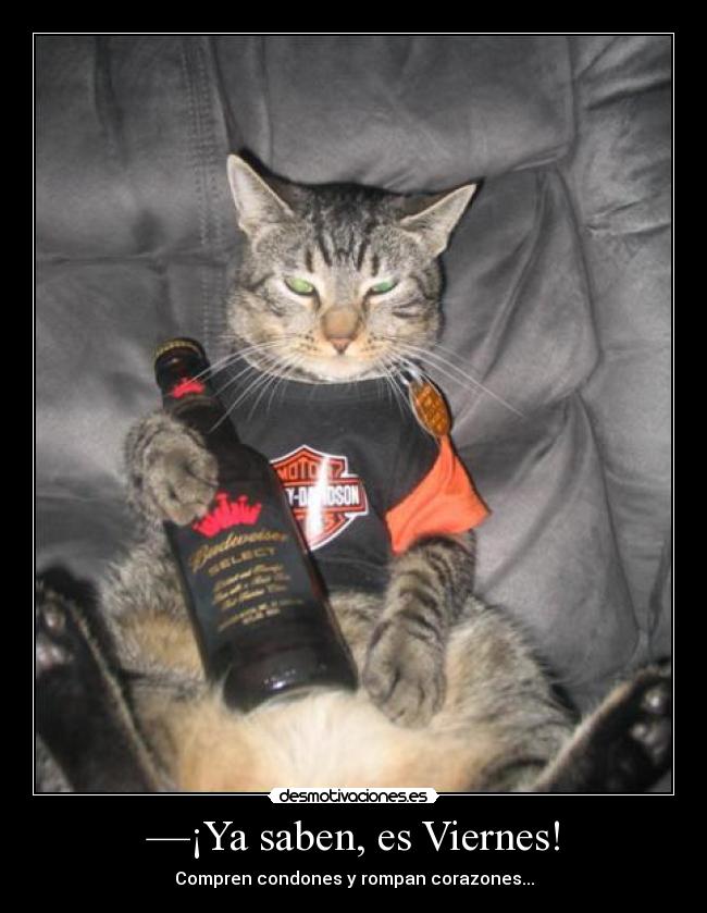 —¡Ya saben, es Viernes! - Compren condones y rompan corazones...