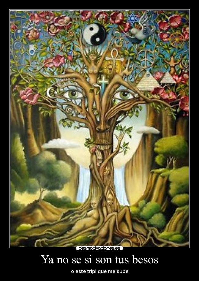 carteles besos love and peace your all desmotivaciones