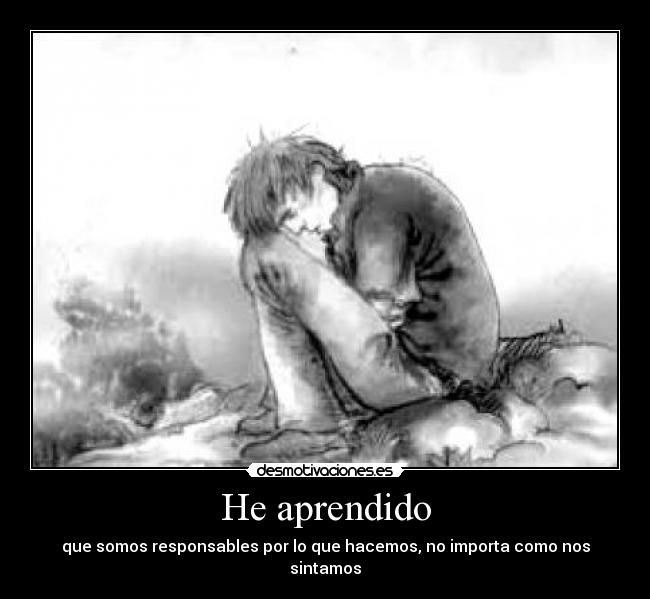 carteles aprendido desmotivaciones