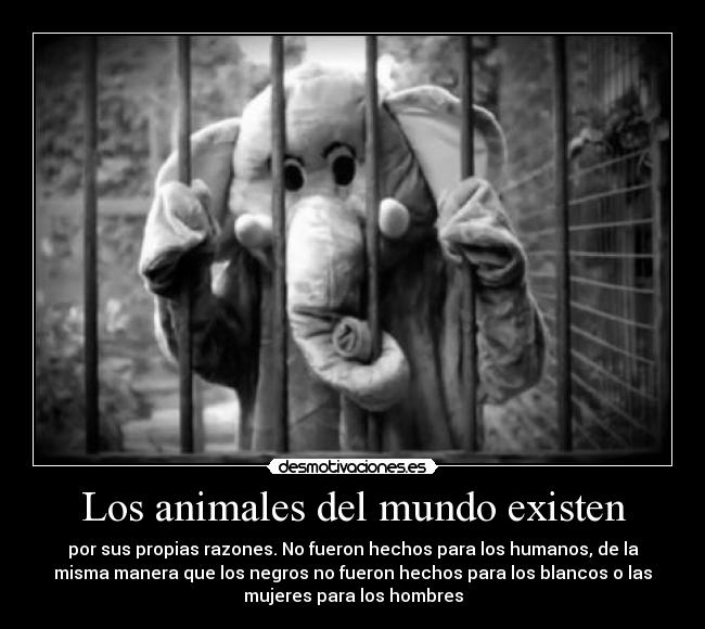 Los animales del mundo existen - por sus propias razones. No fueron hechos para los humanos, de la
misma manera que los negros no fueron hechos para los blancos o las
mujeres para los hombres