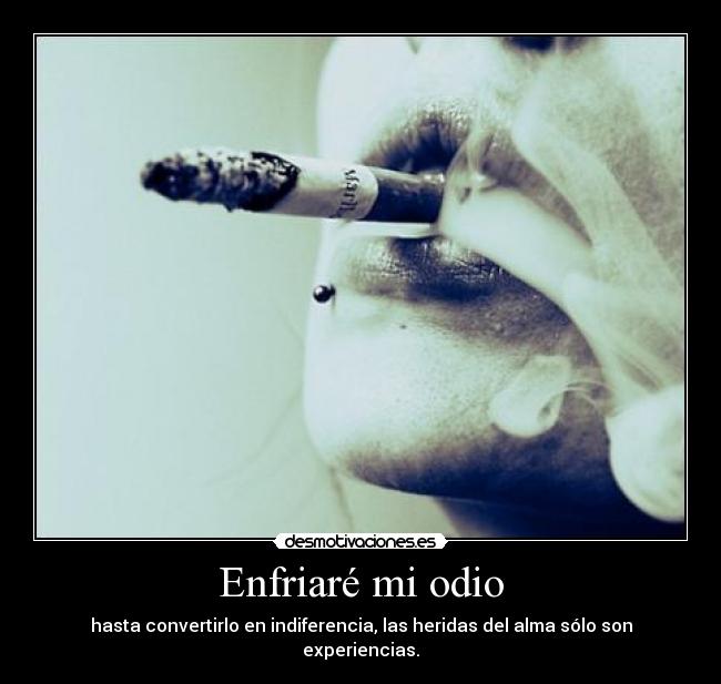 Enfriaré mi odio - hasta convertirlo en indiferencia, las heridas del alma sólo son experiencias.