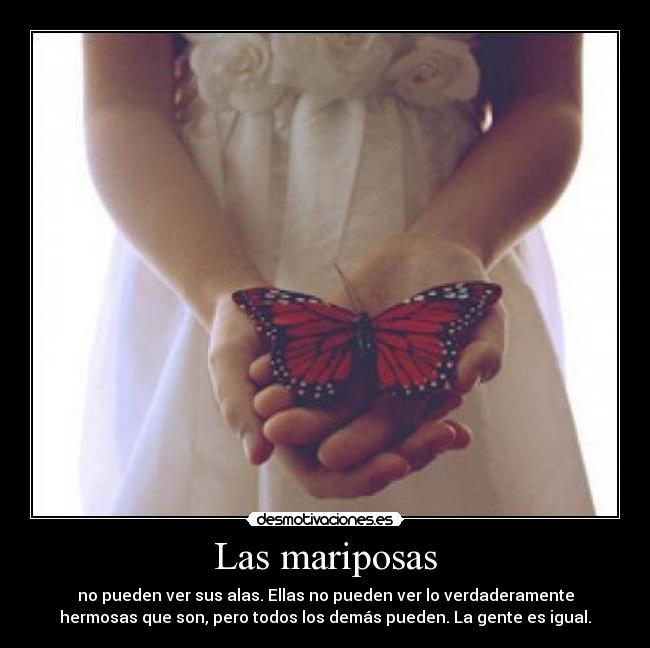 Las mariposas - no pueden ver sus alas. Ellas no pueden ver lo verdaderamente
hermosas que son, pero todos los demás pueden. La gente es igual.