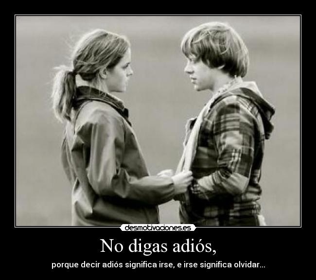No digas adiós, - porque decir adiós significa irse, e irse significa olvidar...