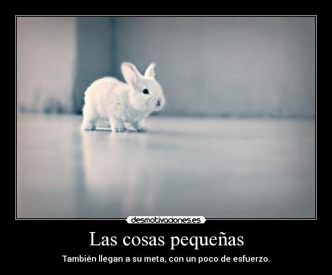 Las cosas pequeñas -