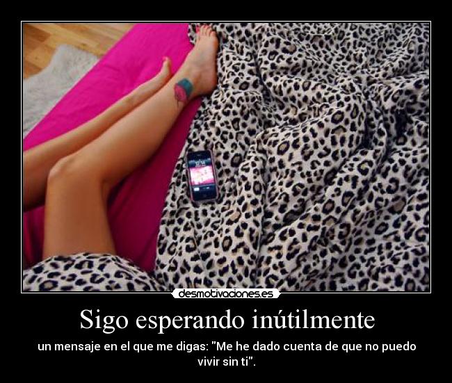 carteles asedy syti muje una perra ladro gegege desmotivaciones