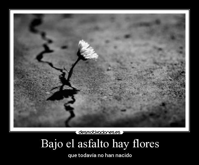 Bajo el asfalto hay flores -