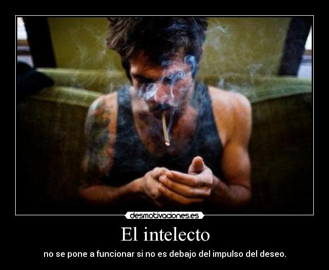 El intelecto - 