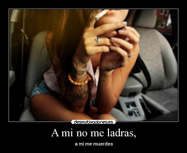 A mi no me ladras, - a mi me muerdes