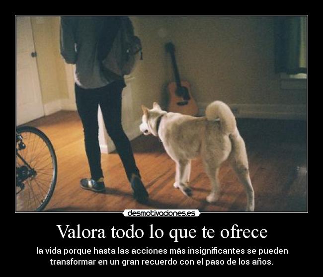 Valora todo lo que te ofrece - 