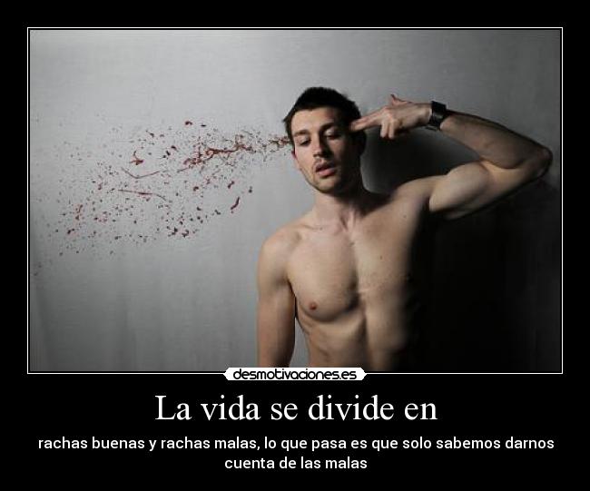 La vida se divide en -