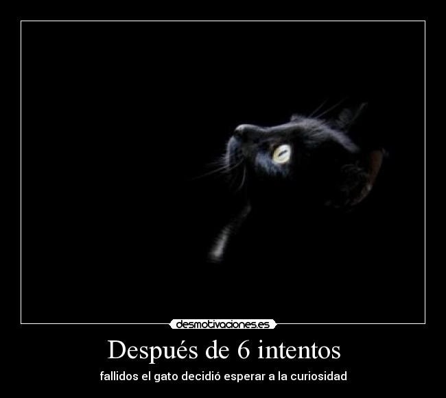 Después de 6 intentos -