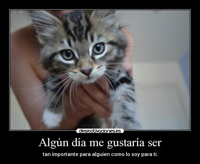 Algún día me gustaría ser - 