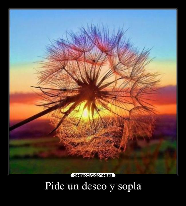 Pide un deseo y sopla -