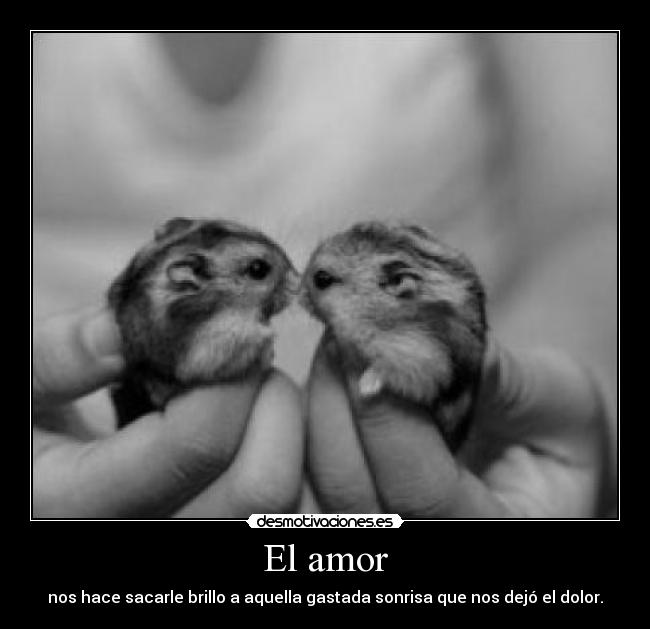 El amor - 