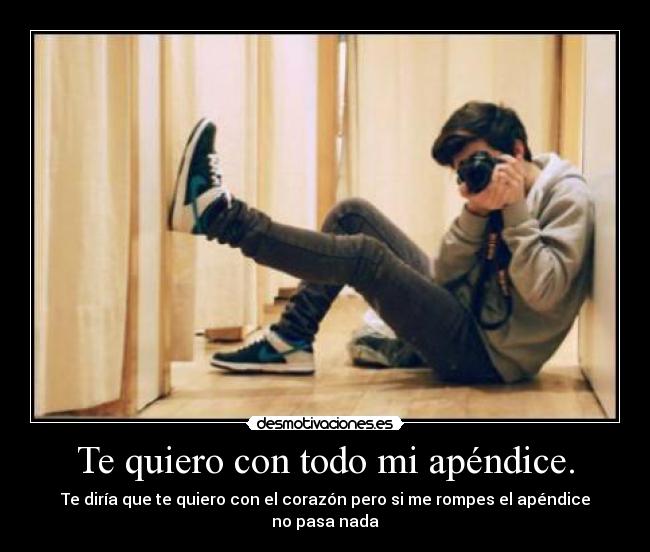 carteles quiero con todo apendice desmotivaciones