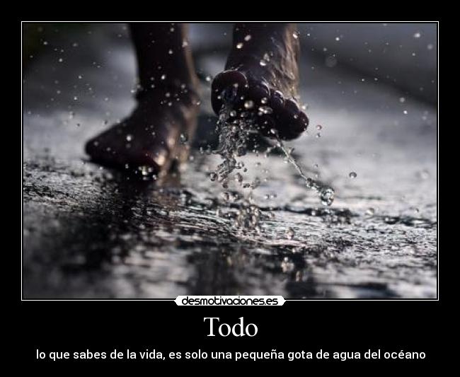 Todo - 