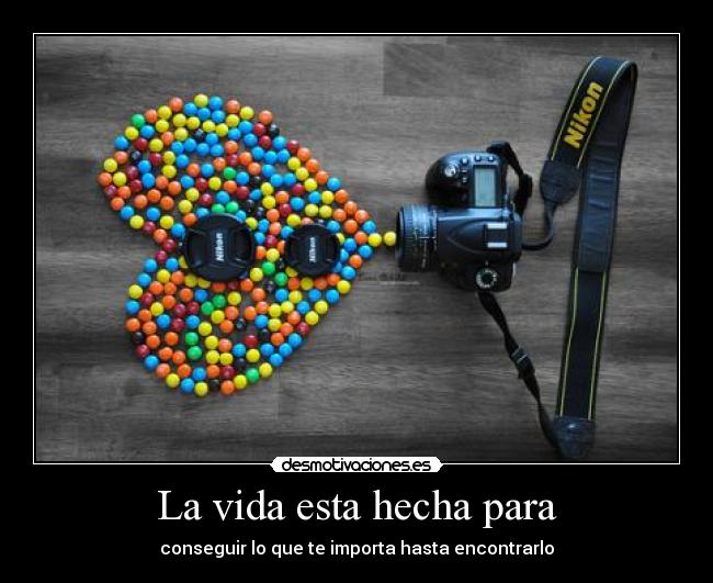 La vida esta hecha para - 