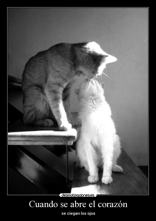 Cuando se abre el corazón -