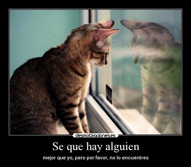 Se que hay alguien - 