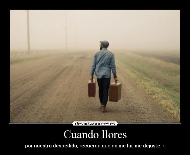 Cuando llores - por nuestra despedida, recuerda que no me fui, me dejaste ir.