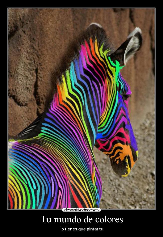 Tu mundo de colores - 