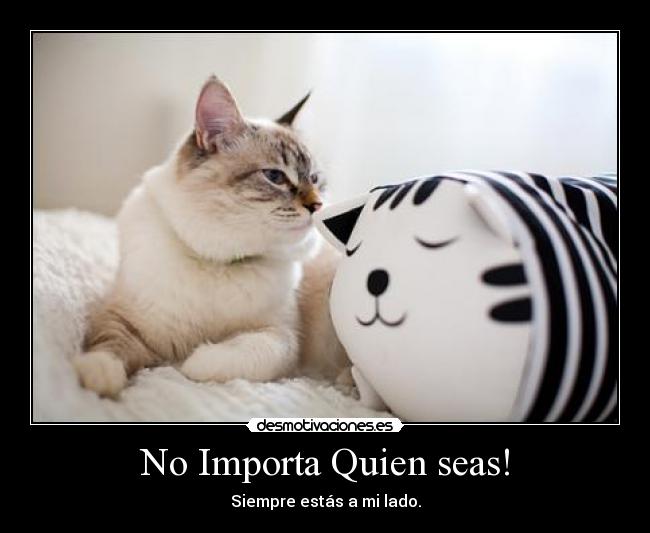 No Importa Quien seas! -