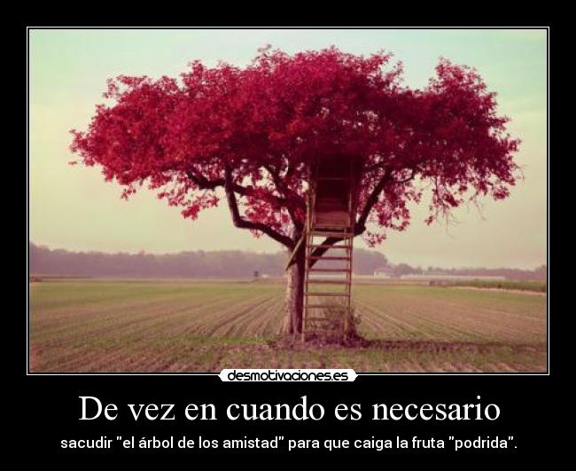 De vez en cuando es necesario -