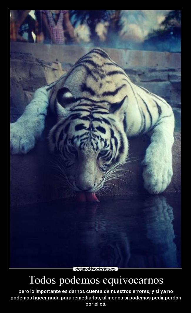 Todos podemos equivocarnos - 
