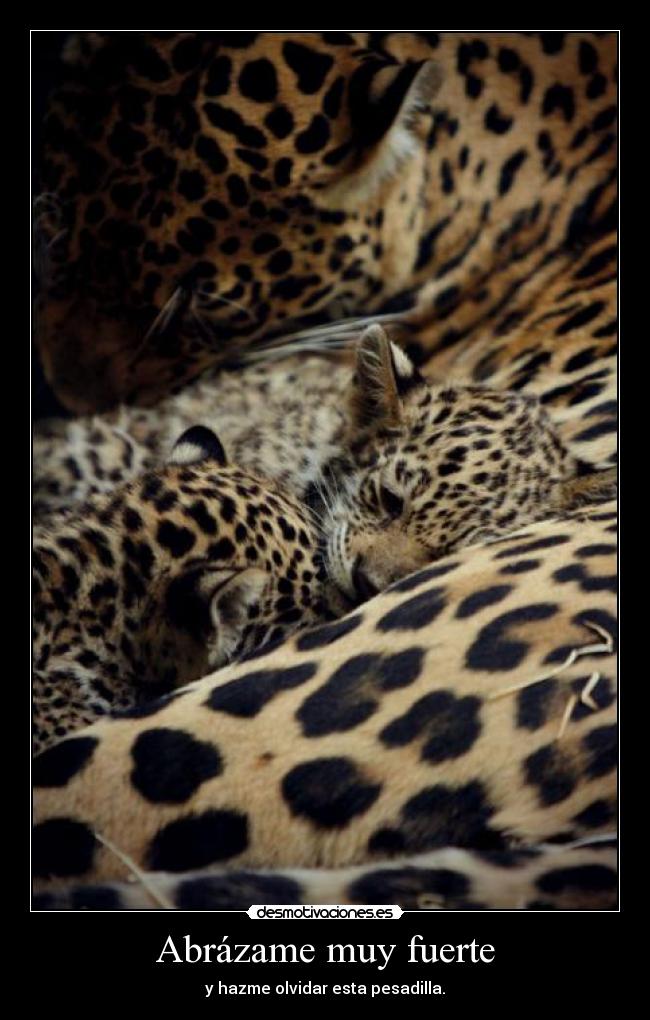 Abrázame muy fuerte - 