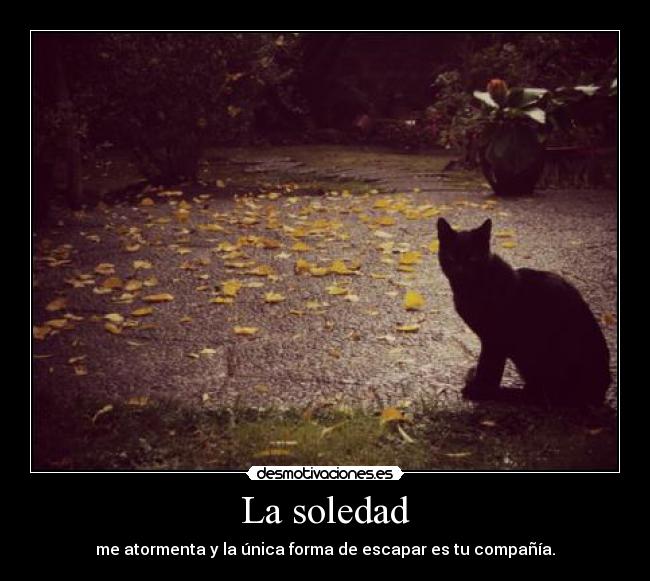 La soledad -