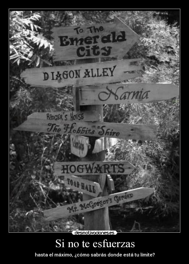 Si no te esfuerzas - hasta el máximo, ¿cómo sabrás donde está tu límite?