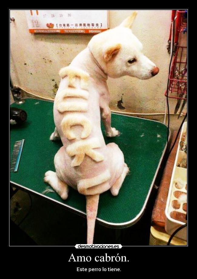 carteles jpta desmotivaciones