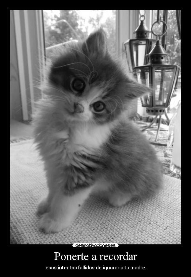 Ponerte a recordar - esos intentos fallidos de ignorar a tu madre.
