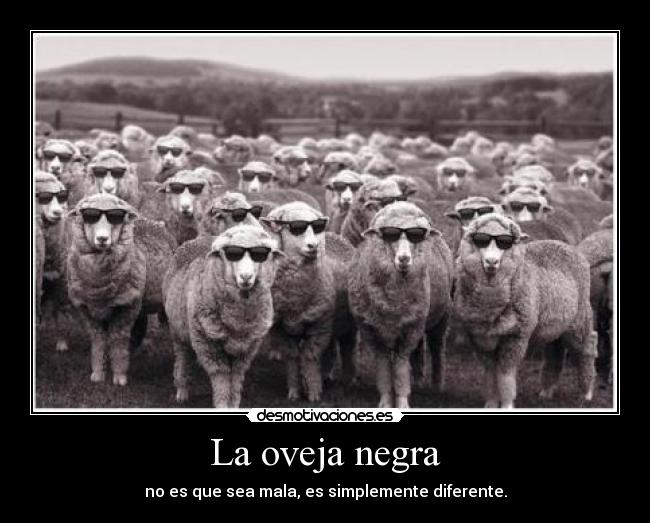 carteles diferencias que convierten supuesto malo desmotivaciones