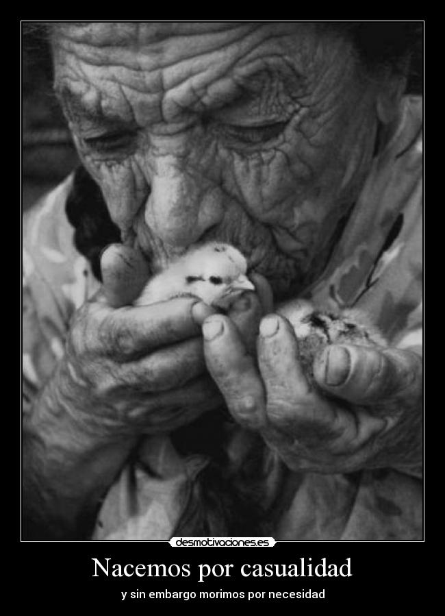 Nacemos por casualidad - 