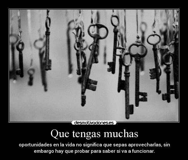 Que tengas muchas - oportunidades en la vida no significa que sepas aprovecharlas, sin
embargo hay que probar para saber si va a funcionar.