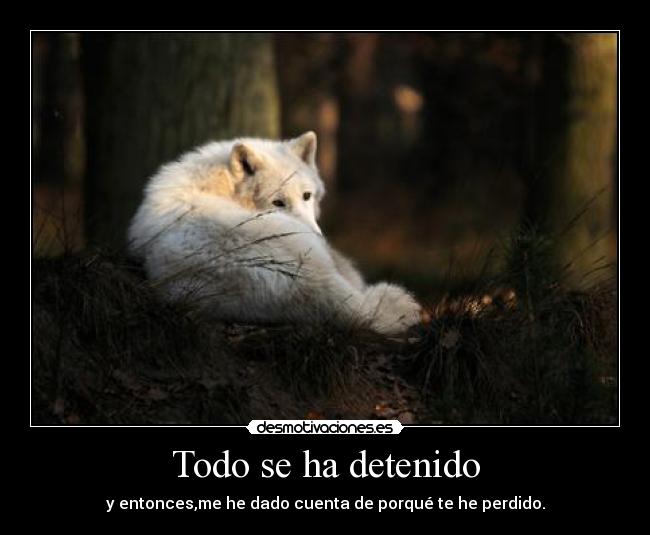 Todo se ha detenido -